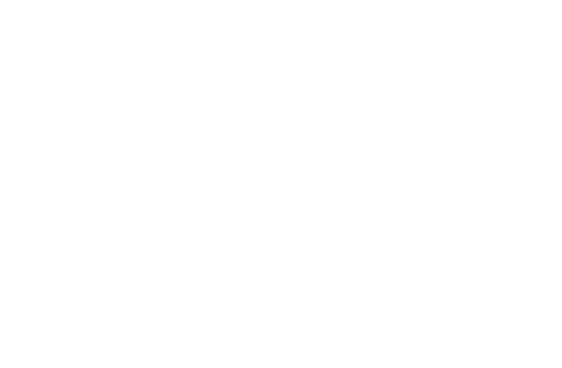 Medtronic Logo