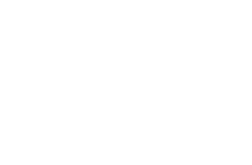 Parker Logo