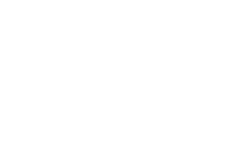 Northeastern-University-WHITE-Logo